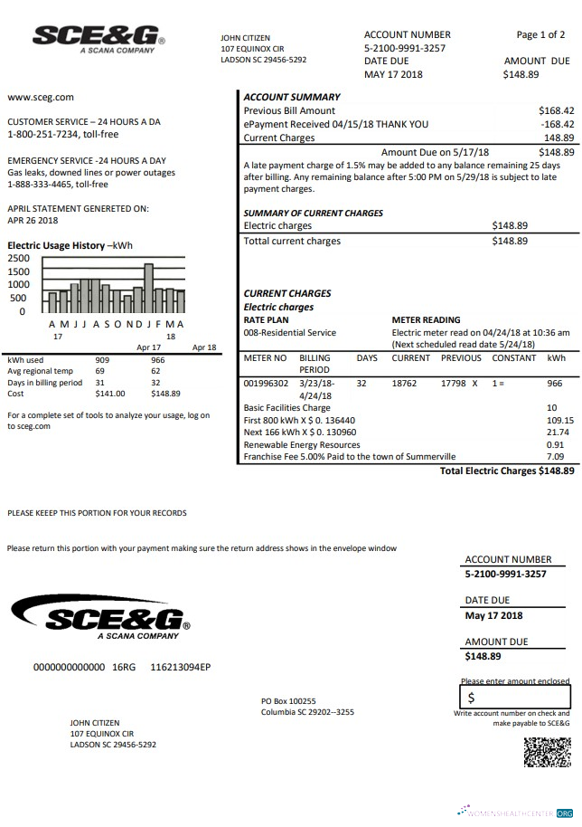 download USA South Carolina SCE&G electricity utility bill template in Word and PDF format PDF template